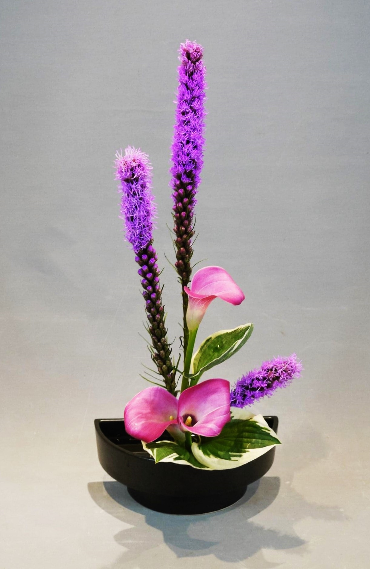 Deutsch-Japanische Gesellschaft Nagai-Bad Säckingen e.V.